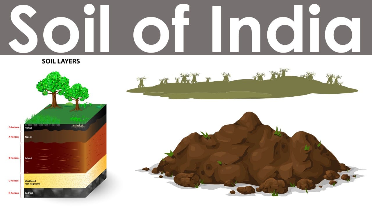 Soil of India