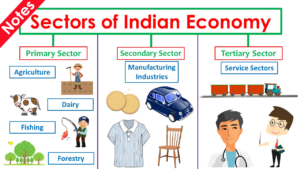 Sectors of Indian Economy NOTES