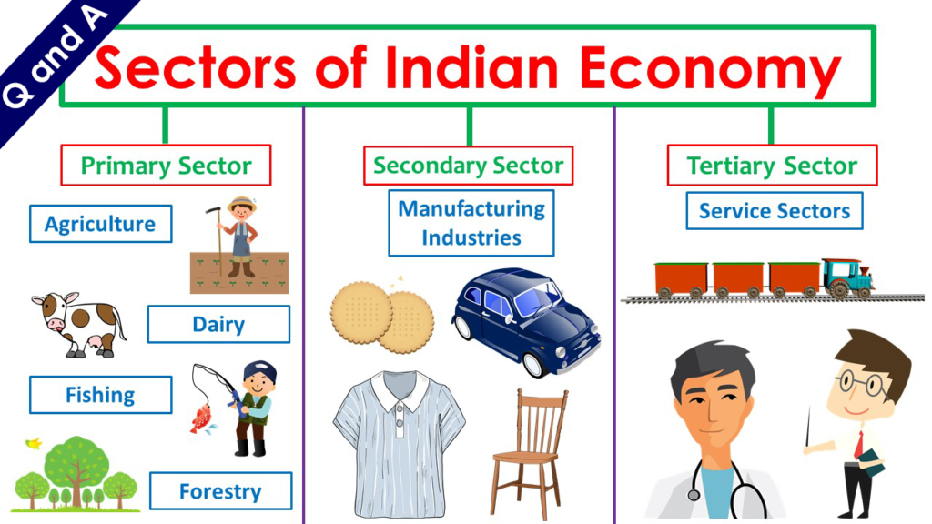 Sectors of Indian Economy Q and A