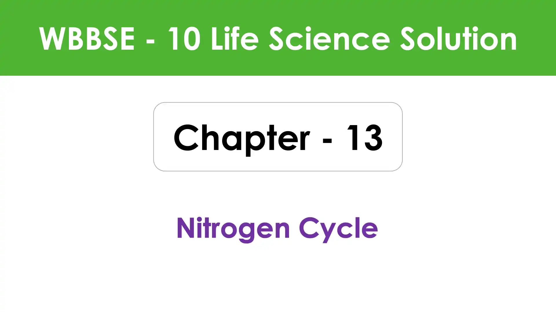 Nitrogen Cycle