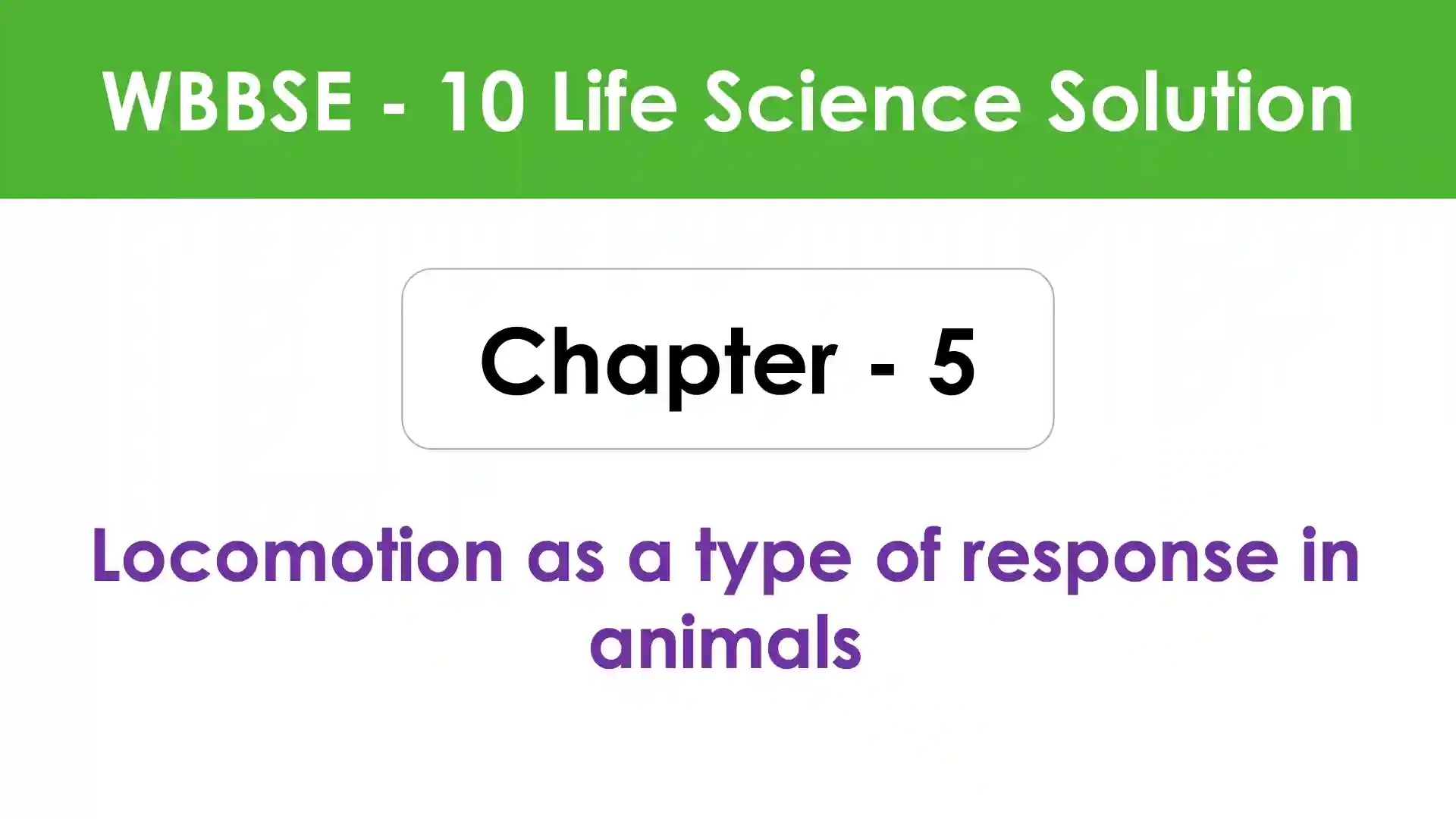 Locomotion as a type of response in animals